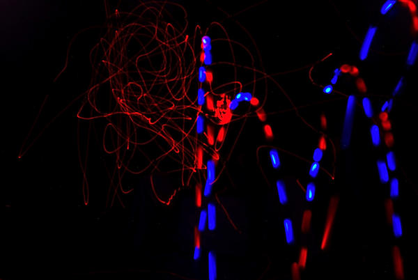 follow-the-bouncing-ball-1_l